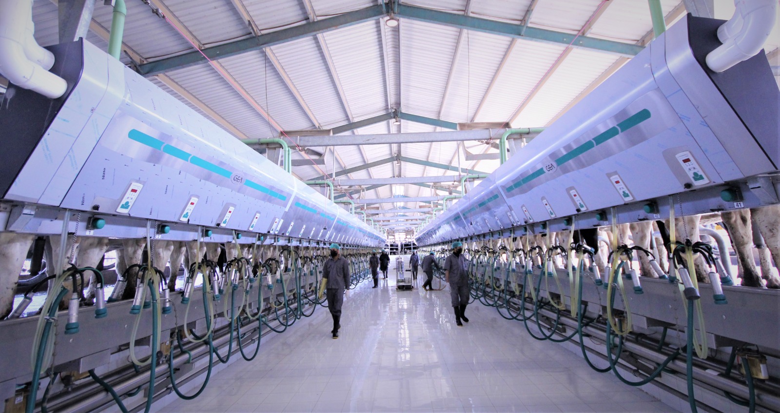 Milking Parlor
